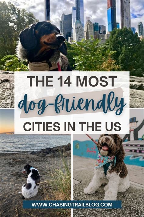 most dog friendly cities to visit